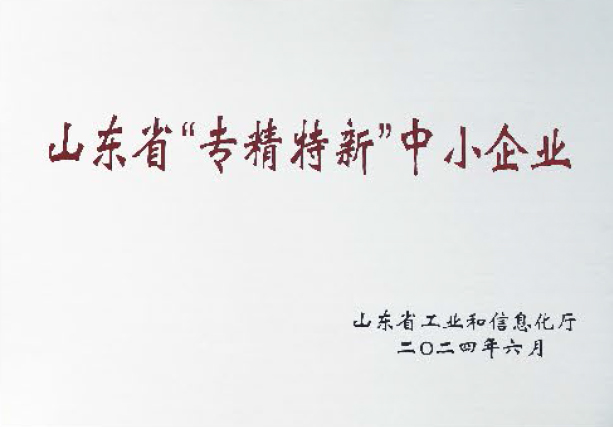 山东省专精特新中小企业